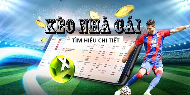X1798 Cá độ trực tuyến thể thao X1798 Cá độ trực tuyến thể thao