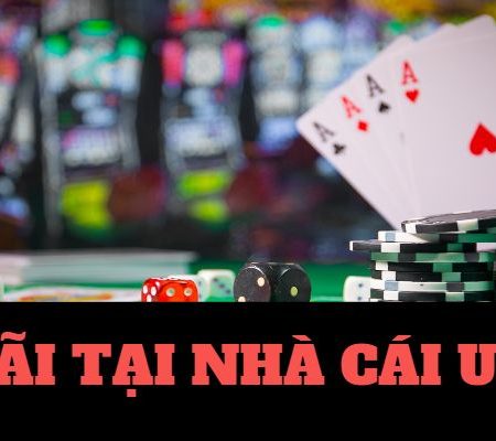 Zini Club-Ứng dụng Android／IOS – Sự lựa chọn hàng đầu!