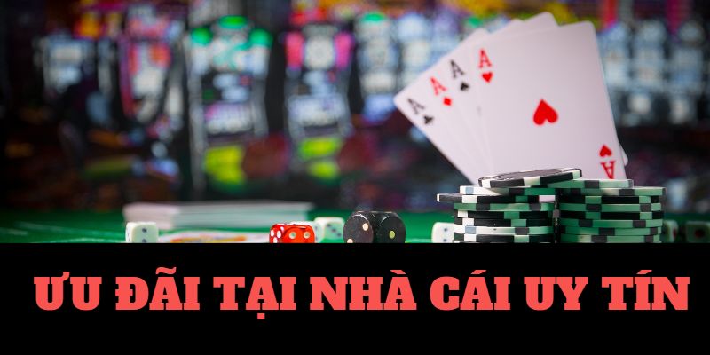 Zini Club-Ứng dụng Android／IOS - Sự lựa chọn hàng đầu!